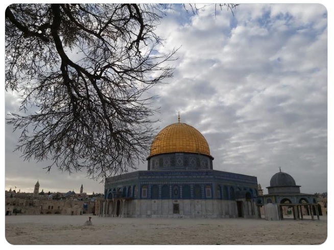 Punky Zoolander tweet media