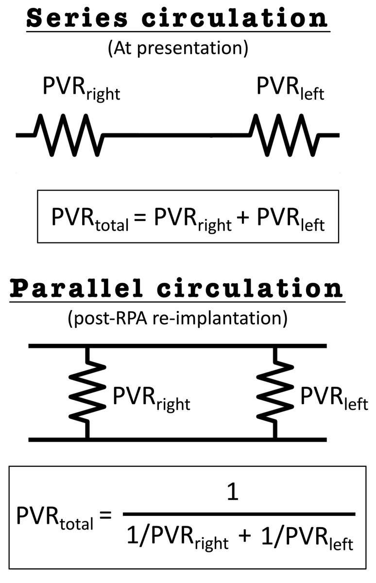 Saurabh Gupta MD DM (@drsaurabhmd101) on Twitter photo RPA from Ao - complex but rewarding multimodal evaluation <a href="/DrRajeshG1/">Dr G Rajesh (Gopalan Nair Rajesh).</a> <a href="/swatigar/">Swati Garekar</a> <a href="/preetir85/">Preetir85</a> <a href="/ShelbyKuttyMD/">Shelby Kutty, MD, PhD, MHCM</a> <a href="/VLSorrellImages/">V.L.Sorrell, MD (@CASEfromASE EIC)</a> <a href="/nabelsc/">Nabel</a> <a href="/serfasj/">J.D. Serfas</a> <a href="/CincyACHD/">The Cincinnati ACHD Program</a> <a href="/AlsaiedTarek/">Tarek Alsaied</a> <a href="/RayRcnita/">Nita Ray Chaudhuri, MD, FACC, FSCMR</a> <a href="/CongenitalHear3/">Congenital Heart Academy</a> <a href="/AEPCcongenital/">AEPC - Paediatric and Congenital Cardiology</a> <a href="/rao_sruti/">Sruti Rao MD</a> <a href="/DevyaniChoudha4/">Devyani Choudhary</a> <a href="/cardiopedhnn/">Jorge Faerron</a>
journals.lww.com/aopc/Fulltext/… RPA from Ao - complex but rewarding multimodal evaluation <a href="/DrRajeshG1/">Dr G Rajesh (Gopalan Nair Rajesh).</a> <a href="/swatigar/">Swati Garekar</a> <a href="/preetir85/">Preetir85</a> <a href="/ShelbyKuttyMD/">Shelby Kutty, MD, PhD, MHCM</a> <a href="/VLSorrellImages/">V.L.Sorrell, MD (@CASEfromASE EIC)</a> <a href="/nabelsc/">Nabel</a> <a href="/serfasj/">J.D. Serfas</a> <a href="/CincyACHD/">The Cincinnati ACHD Program</a> <a href="/AlsaiedTarek/">Tarek Alsaied</a> <a href="/RayRcnita/">Nita Ray Chaudhuri, MD, FACC, FSCMR</a> <a href="/CongenitalHear3/">Congenital Heart Academy</a> <a href="/AEPCcongenital/">AEPC - Paediatric and Congenital Cardiology</a> <a href="/rao_sruti/">Sruti Rao MD</a> <a href="/DevyaniChoudha4/">Devyani Choudhary</a> <a href="/cardiopedhnn/">Jorge Faerron</a>
journals.lww.com/aopc/Fulltext/…