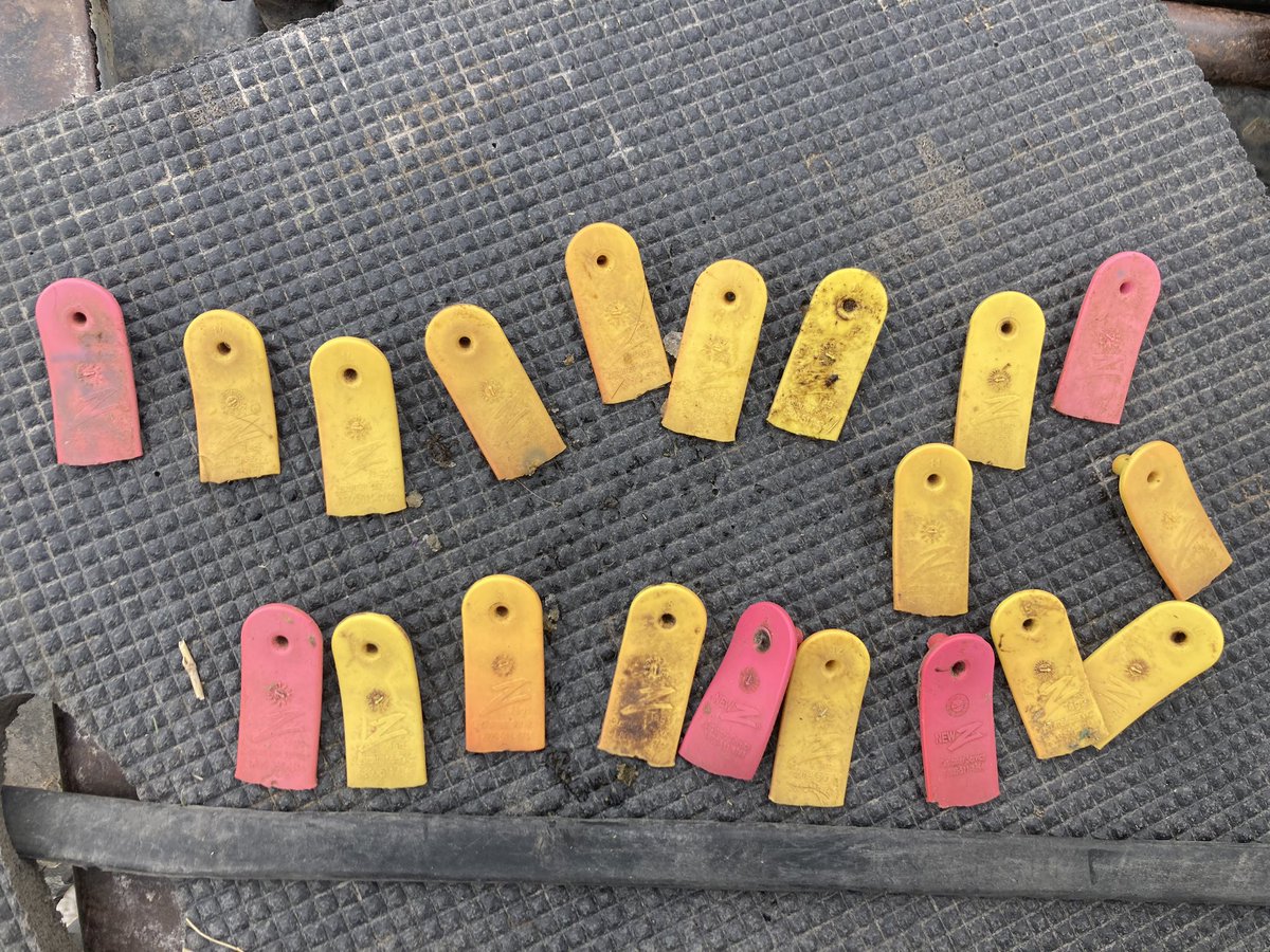 Edie Creek Angus tweet media