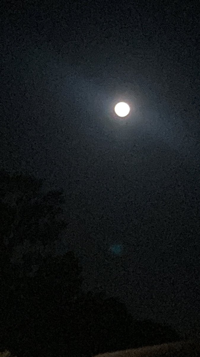 Bmh1winHill's tweet photo. Just helped my neighbor Kaylee (Single mom, 3 kids) tie down furniture on the trailer! They’re headed to Wauchula, about a 45min. drive! 🧰👨🏽‍🔧Few days ago I put new front brakes on her Ford Explorer, &amp; I’m glad I did! They will drive safely!😉🤙🏽 #HelpYourNeighbors #IGotYour6🪖🇺🇸🦅 https://t.co/bwvvhkd04t