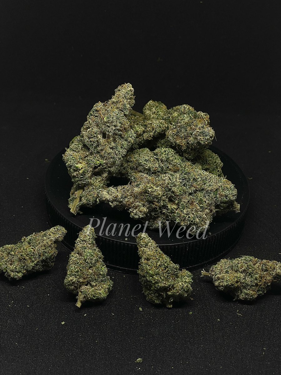 Planet_Weed420's tweet photo. #exoticgenetix #ᴛʜᴄ #ᴛʜᴄthailand  #grower #cannabisthailand #medicalmarijuan #sativa #indica #phuket #kohsamui #kohphangan #growerthai #ภูเก็ต #เกาะสมุย #กัญชาog #กัญชา #กัญชาราคาส่ง https://t.co/SRRcnCuUfT