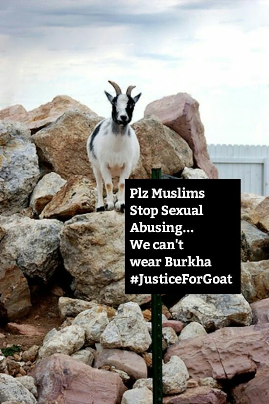 Sem_content's tweet photo. @RanaAyyub #JusticeforGoats https://t.co/neknXJWPw2