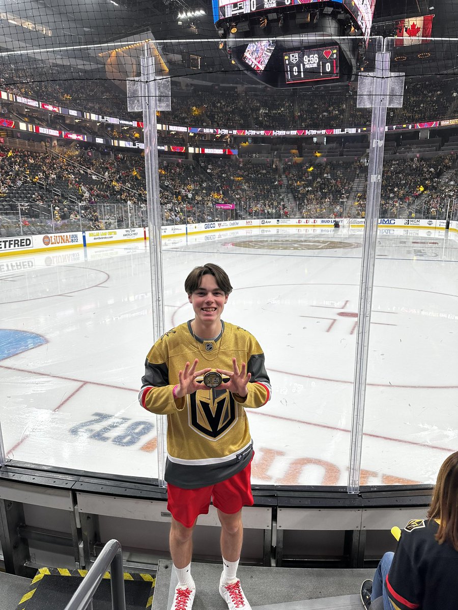 Lisa_Ont's tweet image. Go Knights Go! #thegoldenage