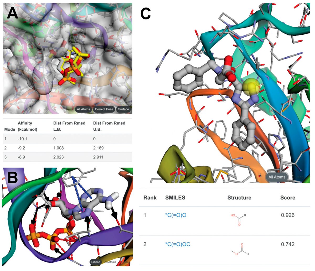 Molecules_MDPI's tweet image. 📌#computerdocking #computer-aideddrugdiscovery #tooldevelopment #opensource #usability
New Publication “Open-Source Browser-Based Tools for Structure-Based Computer-Aided Drug Discovery”
By: Jacob D. Durrant, et al.
👉mdpi.com/1420-3049/27/1…
#mdpimolecules #NewPublication