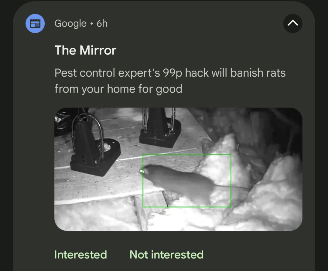 Please dont banish me :'(( how will i play Celeste on Saturday at 3pm uk time :'((((