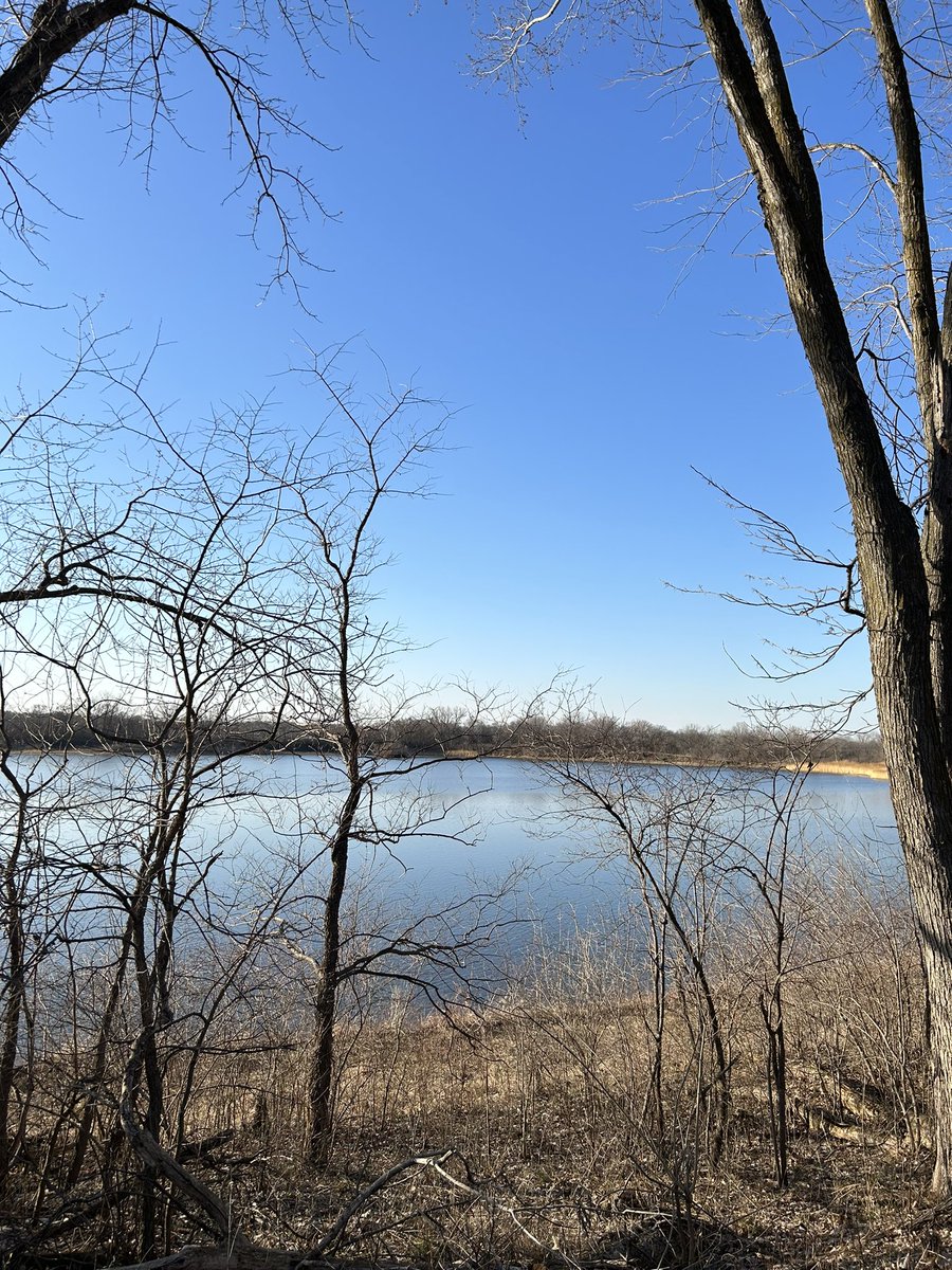 BTapintofitness's tweet photo. 4 days post marathon & I finally got outside for a short walk. I couldn’t help myself w the nice ☀️
I was also already contemplating the day I try to start running again #postmarathon haha 😂😂
#getoutdo #recoverywalk #runner https://t.co/e3Bc7GQ5eP