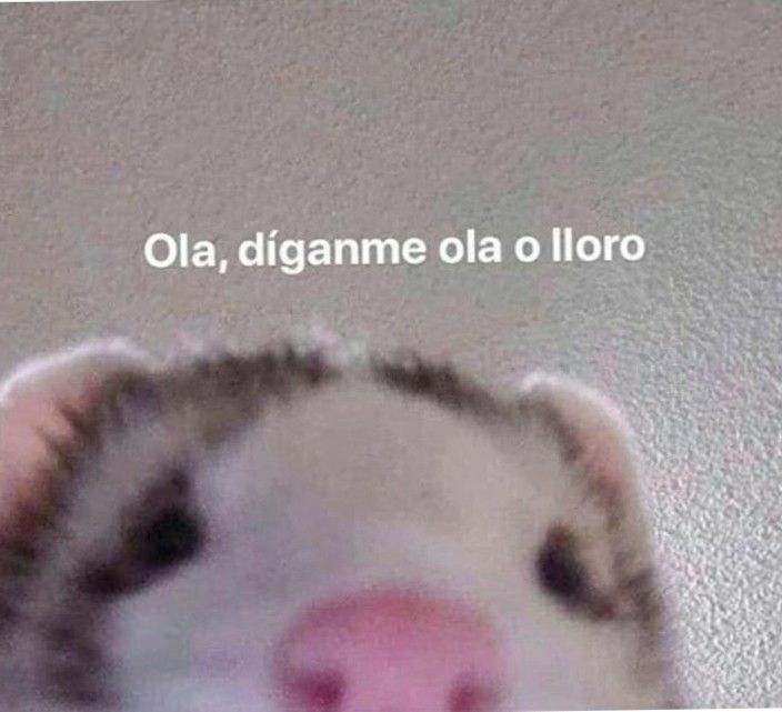 mijty_'s tweet photo. dios mio hace un montón que no entro por acá https://t.co/piQLeKTcgV