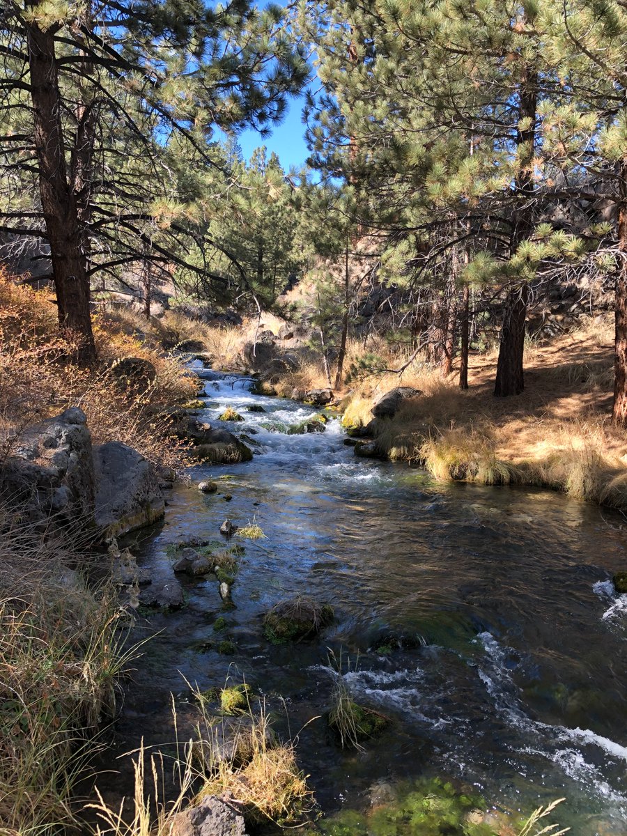 Comprehensive River Management Plans for the Owens River Headwaters and Cottonwood Creek Wild and Scenic Rivers have officially been signed and finalized!

Read the full News Release here:  fs.usda.gov/detail/inyo/ne…