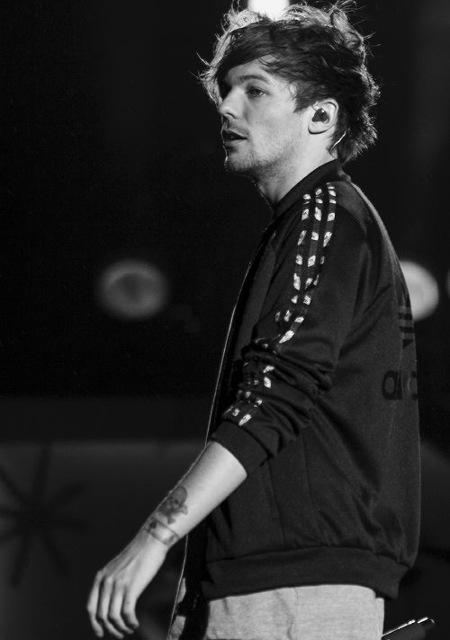 louis hedgehog (@lhdgehog) on Twitter photo 