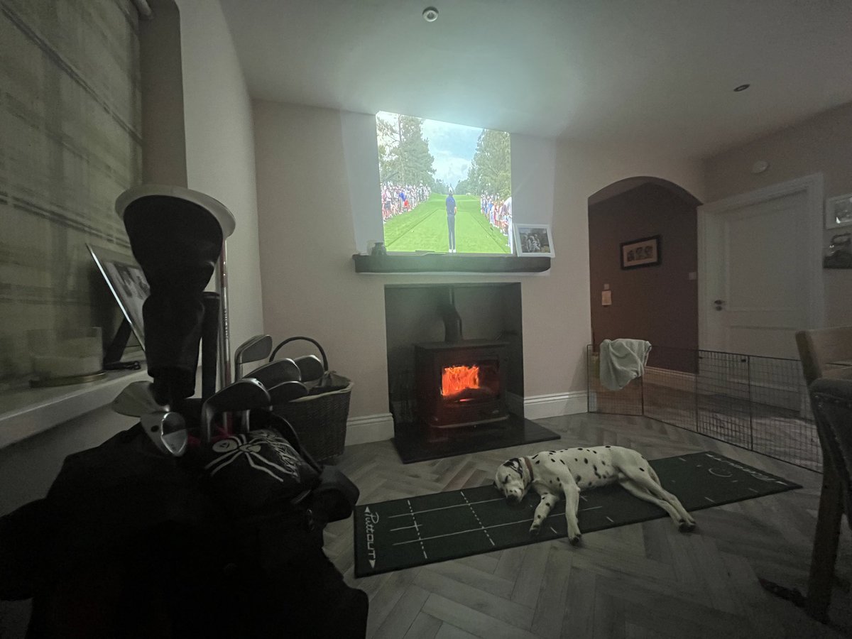 Rua O Reilly tweet media