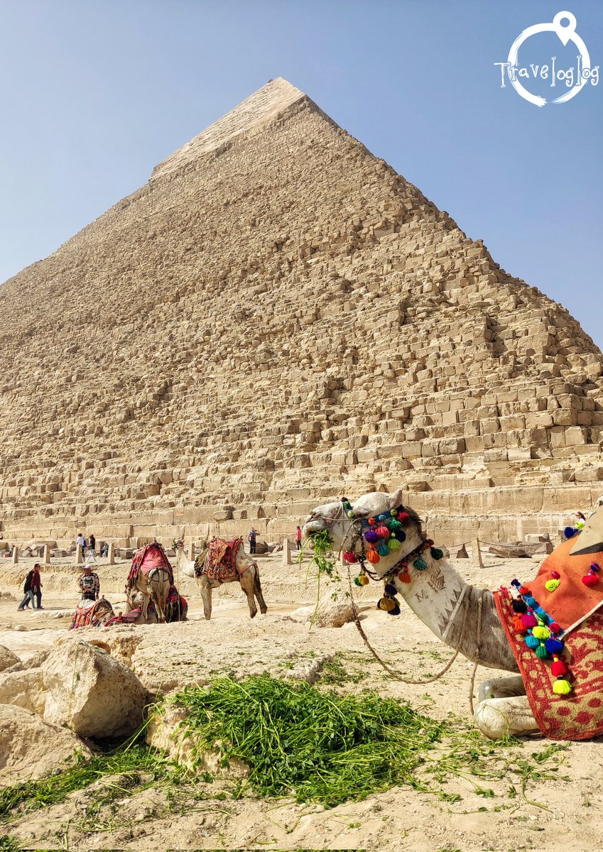 の風景🇪🇬 ギザの様子 カフラー王のピラミッド前でムシャムシャタイムのラクダさん🐪
