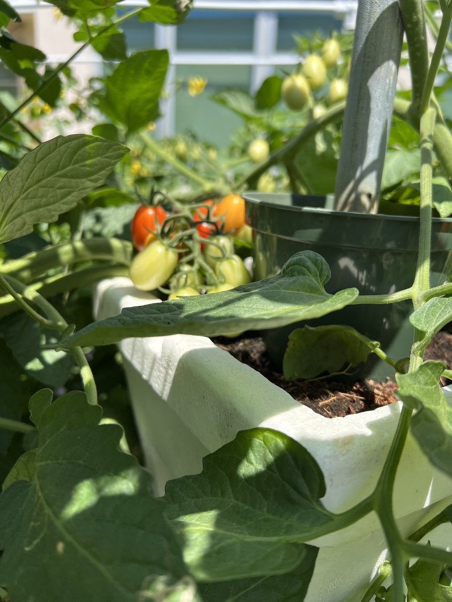 Kristin DeLaTorre tweet media