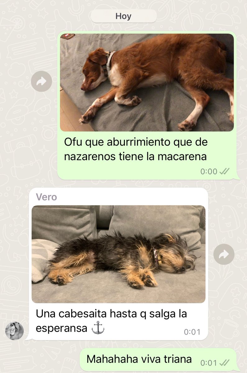 moralejja's tweet photo. #SSanta7TV ya está el lío formao
 #madrugá2023 https://t.co/B86GGnqimG