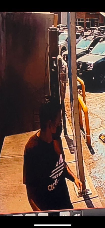 c4jimenez's tweet photo. SE BUSCA!
SE ROBARON a ESTE PERRITO
Se llama Frank
Este sujeto, en este Tsuru blanco se lo llevó, pasando la caseta de Mexico- Querétaro Km 48.8. 
Si lo ubican, repórtelo a @SS_Edomex @FiscaliaEdomex o a su policía municipal 

La historia completa a las 6 en @multimediostv https://t.co/rxWDaX6LAA