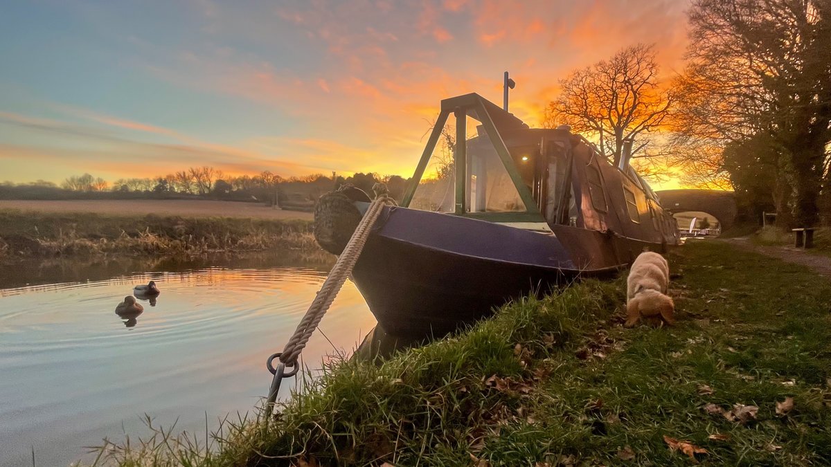 Our countryside #HappyPlaceByWater, just outside @springwoodhaven on the #coventrycanal near #nuneaton. @finredmoonshine enjoying the sunset. @CanalRiverTrust @CRTWestMidlands