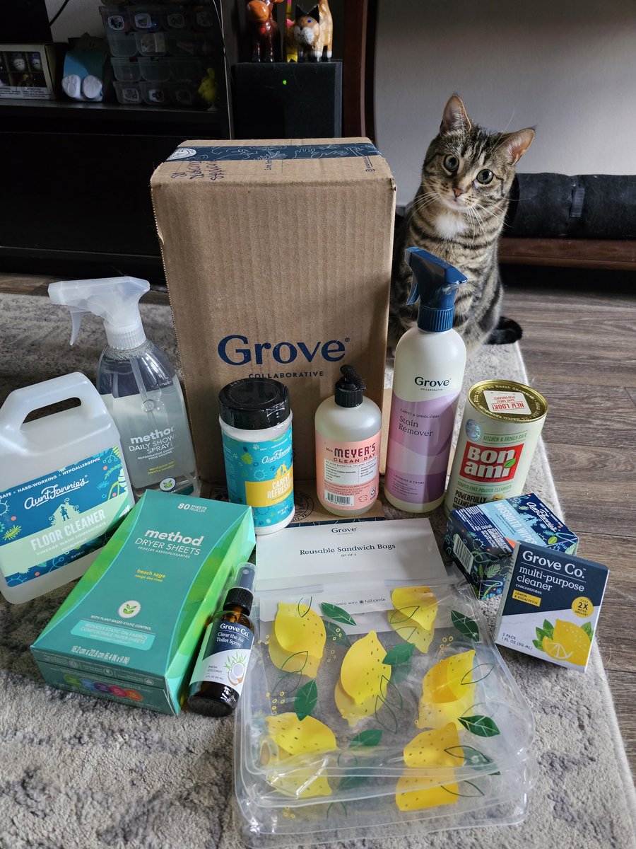 Spring cleaning is a-go! 🧼🧹 @grovecollab