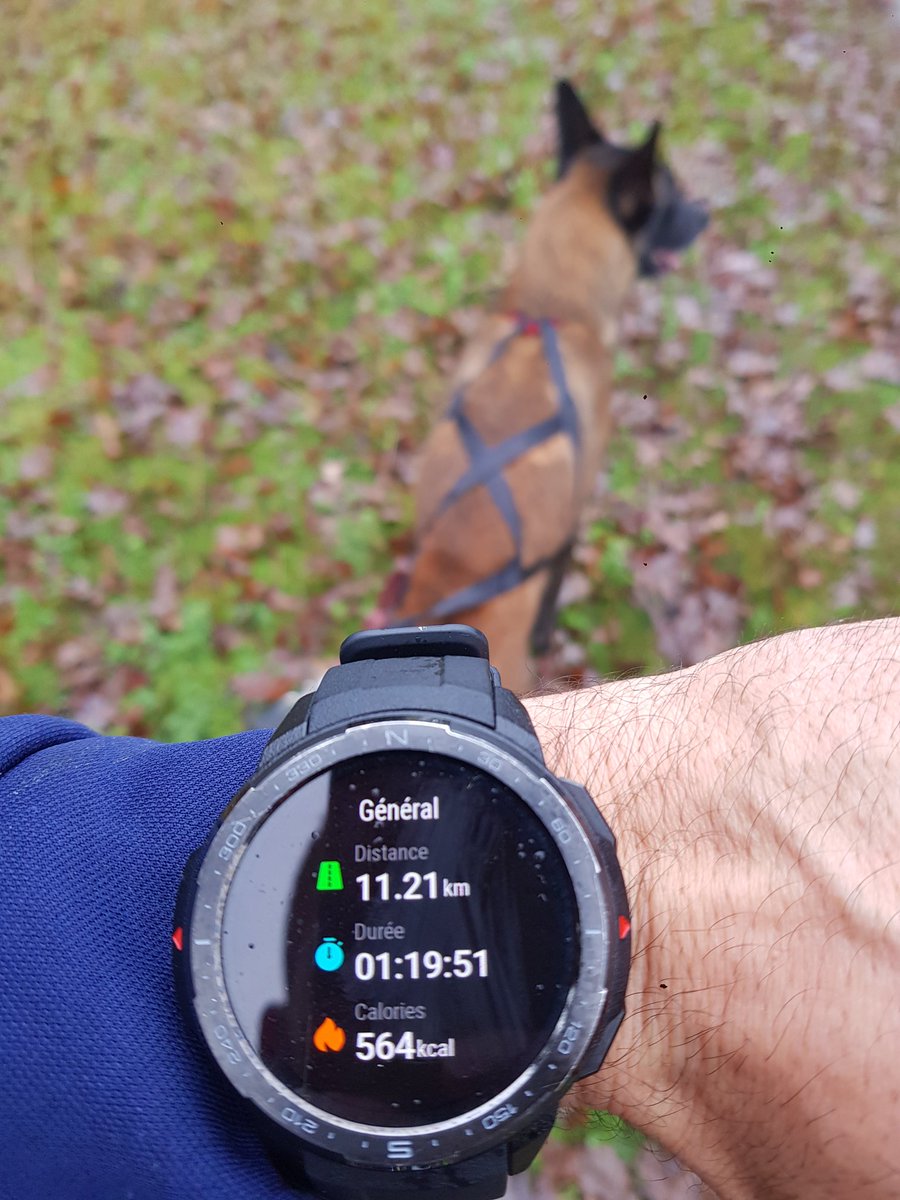 Lefeneck47's tweet photo. Day9 my little morning sport accompanied by my dog, how to combine business with pleasure @BebeChez_eth @RealMommyTokyo @Kakarot_F23 @AmberMetaNFT @DigiMonkz @Yogapetz https://t.co/X4wqeLhQaV