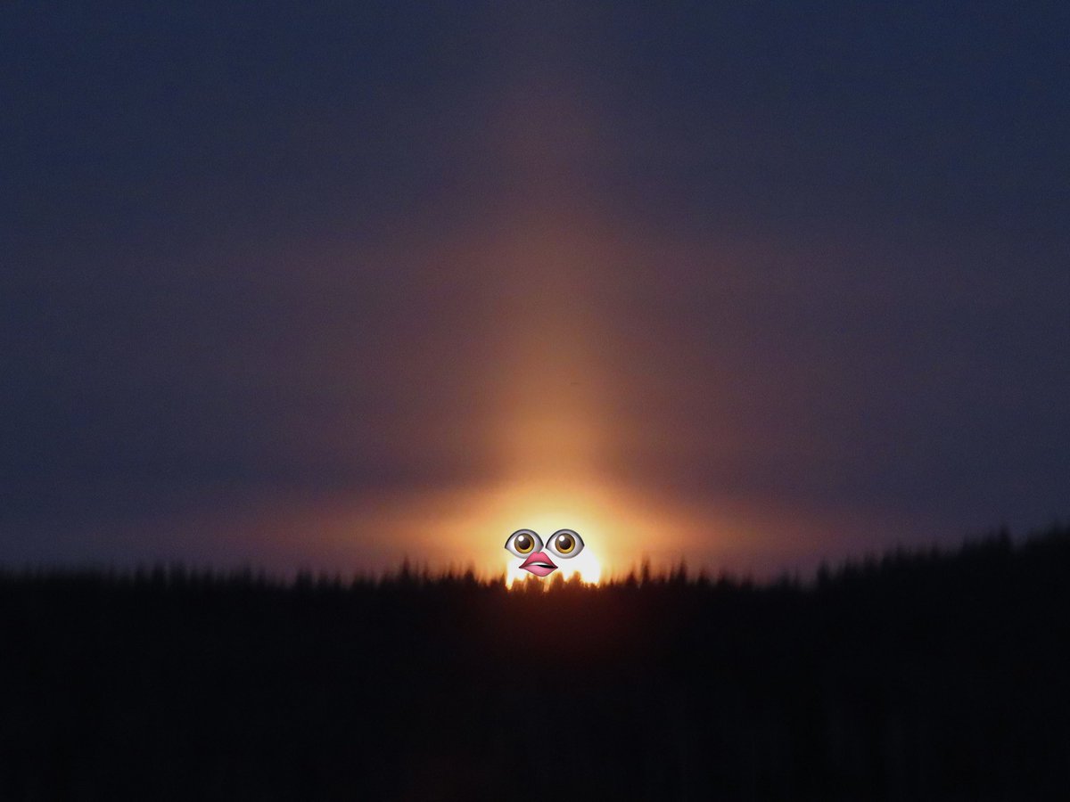 PaiviHelenaK's tweet photo. Täysikuu ja pääsiäisnoita 6.4.2023 Muuratsalo, Säynätsalo 🌕
Jos oisikin niin iso suklaamuna,
et’ kuljettamiseen tarvittais’ juna 🐣
Mut’ eihän sellaisia mikään tipu muni,
se on vain pääsiäisen haaveuni 🧙♀️
#täysikuu #fullmoon #ylesaa https://t.co/4ZRODxth91