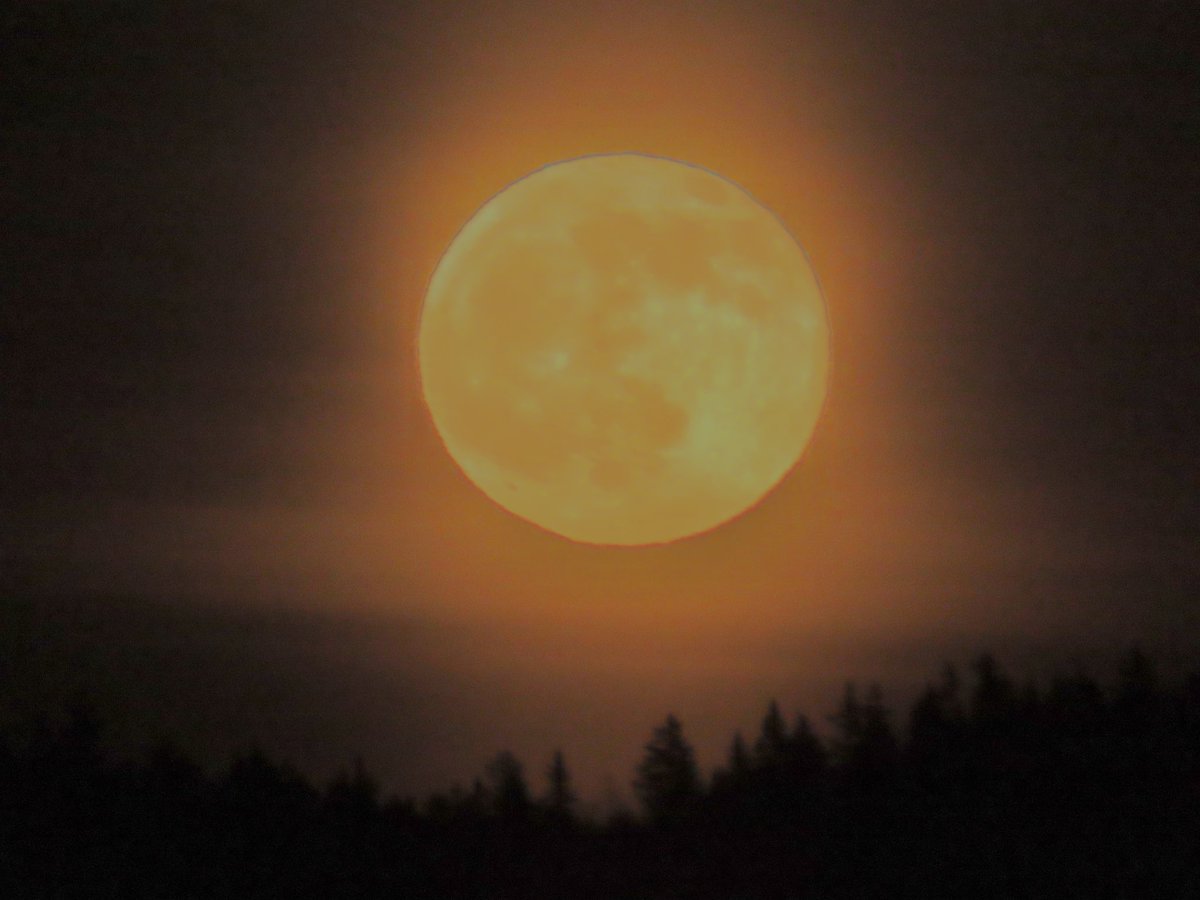 PaiviHelenaK's tweet photo. Täysikuu ja pääsiäisnoita 6.4.2023 Muuratsalo, Säynätsalo 🌕
Jos oisikin niin iso suklaamuna,
et’ kuljettamiseen tarvittais’ juna 🐣
Mut’ eihän sellaisia mikään tipu muni,
se on vain pääsiäisen haaveuni 🧙♀️
#täysikuu #fullmoon #ylesaa https://t.co/4ZRODxth91