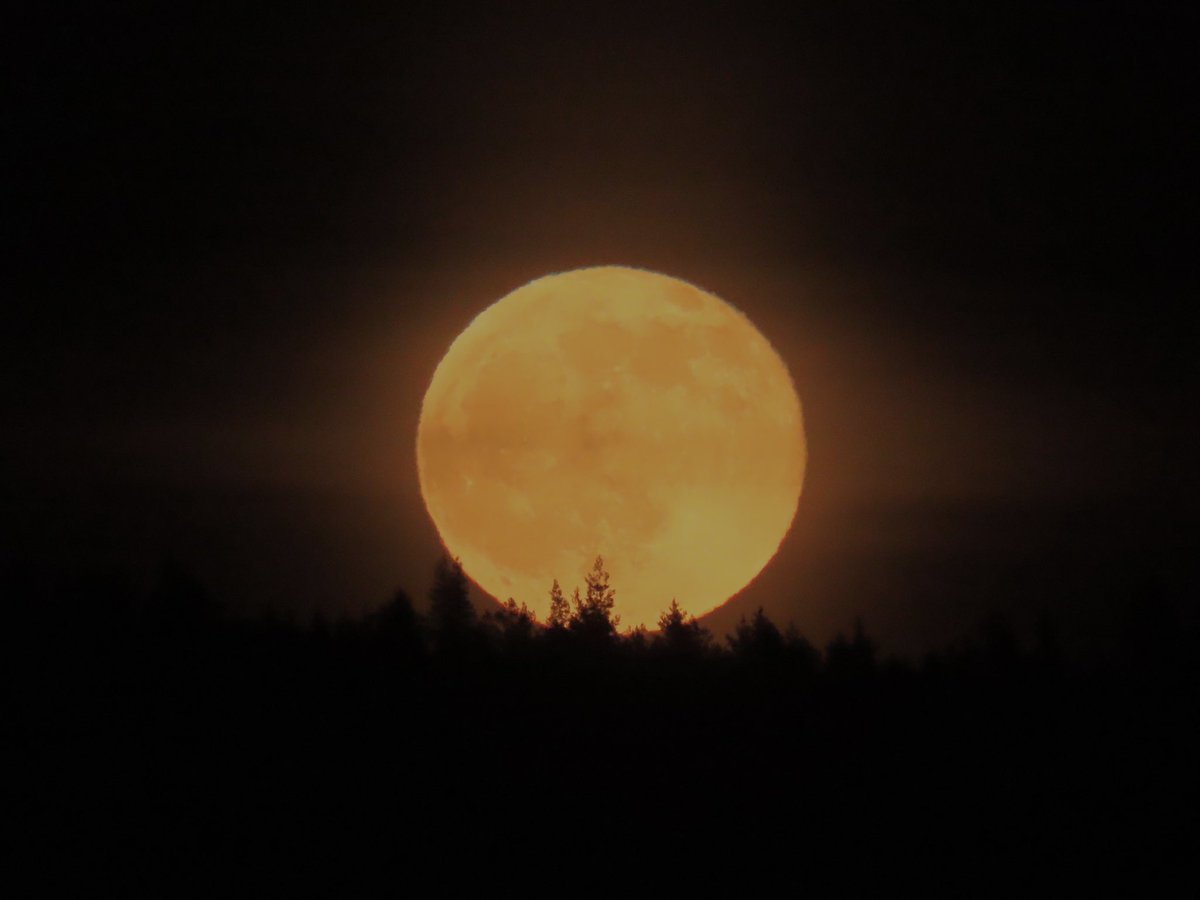 PaiviHelenaK's tweet photo. Täysikuu ja pääsiäisnoita 6.4.2023 Muuratsalo, Säynätsalo 🌕
Jos oisikin niin iso suklaamuna,
et’ kuljettamiseen tarvittais’ juna 🐣
Mut’ eihän sellaisia mikään tipu muni,
se on vain pääsiäisen haaveuni 🧙♀️
#täysikuu #fullmoon #ylesaa https://t.co/4ZRODxth91