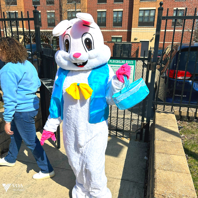 VOA Illinois tweet media