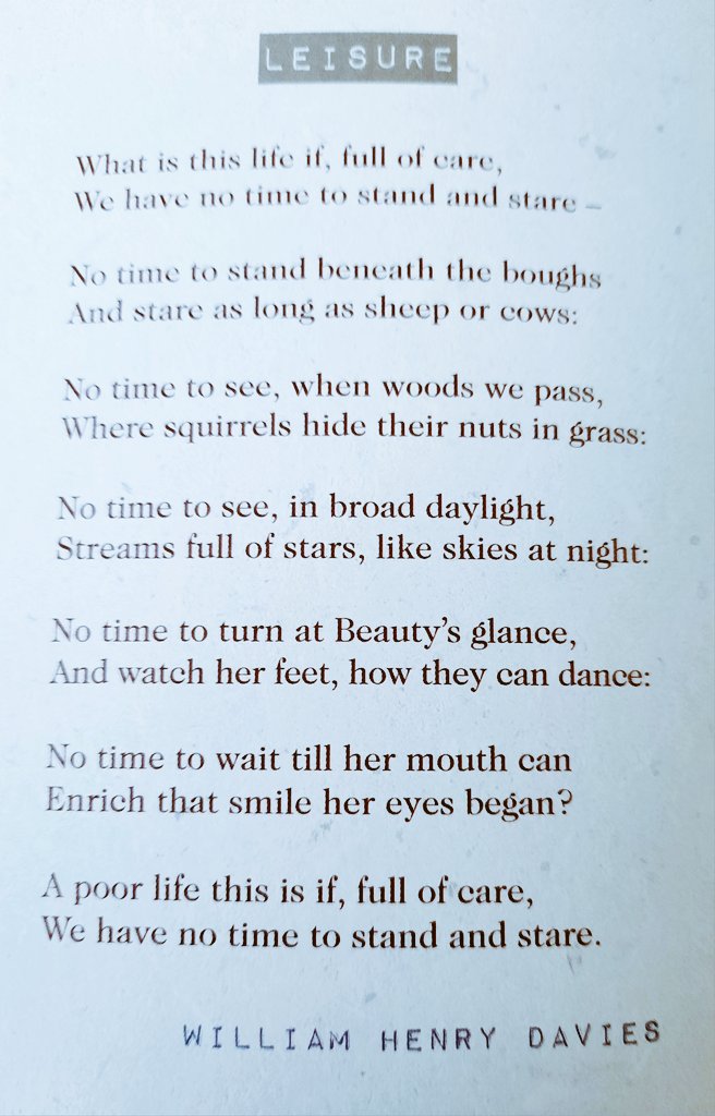 Christine Bore 💙 tweet media