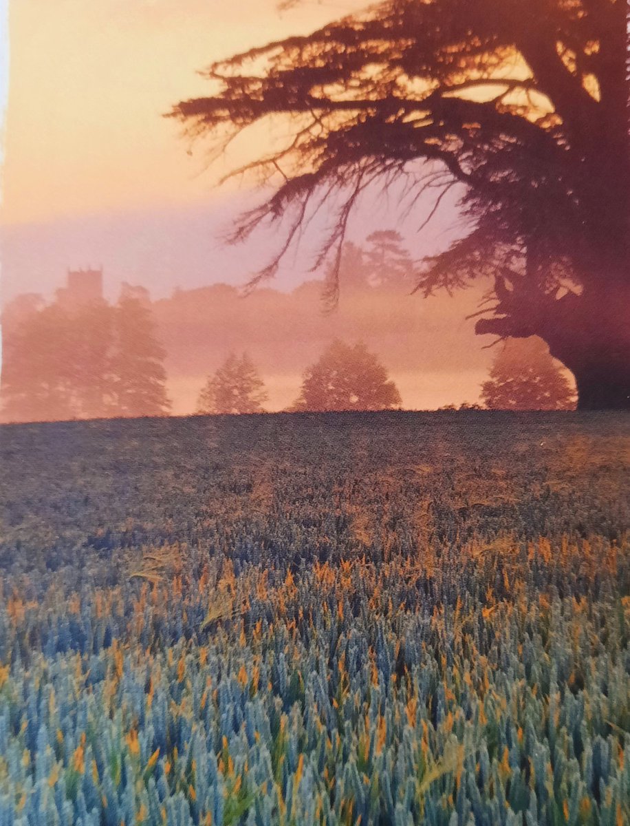 Christine Bore 💙 tweet media