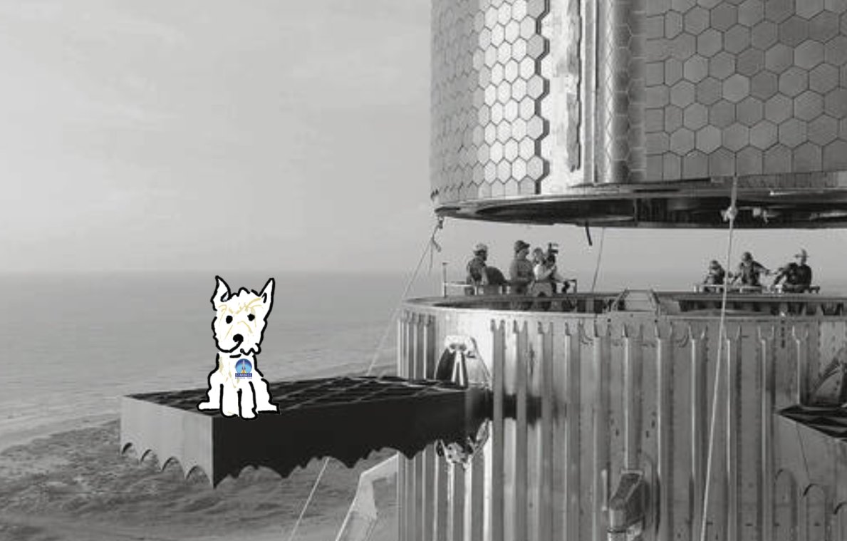 YorkieInu's tweet photo. @elonmusk Do you think one day I could go too? 🚀🐾♥️ https://t.co/8lnnvgZvpW