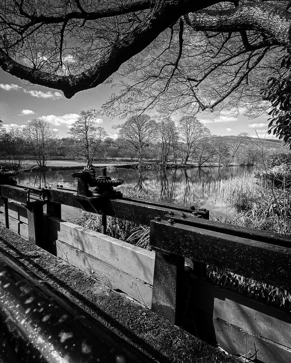 Fitzy__1986's tweet photo. Couple more from the Peak District ππ¬π§ with a video these woods were either lord of the rings or Disney #riverderwent #bamfordedge #peakdistrict #exploring #outdoors #photographer #photography #Ladybowerreservoir #snakeroad #woods #enchanted πΈπβοΈπΊοΈπ¬π§πͺ΅ https://t.co/psSTErFHOr