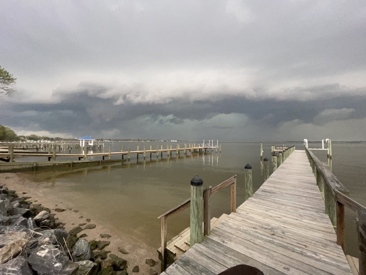 Dawn Howeth 🌤 tweet media