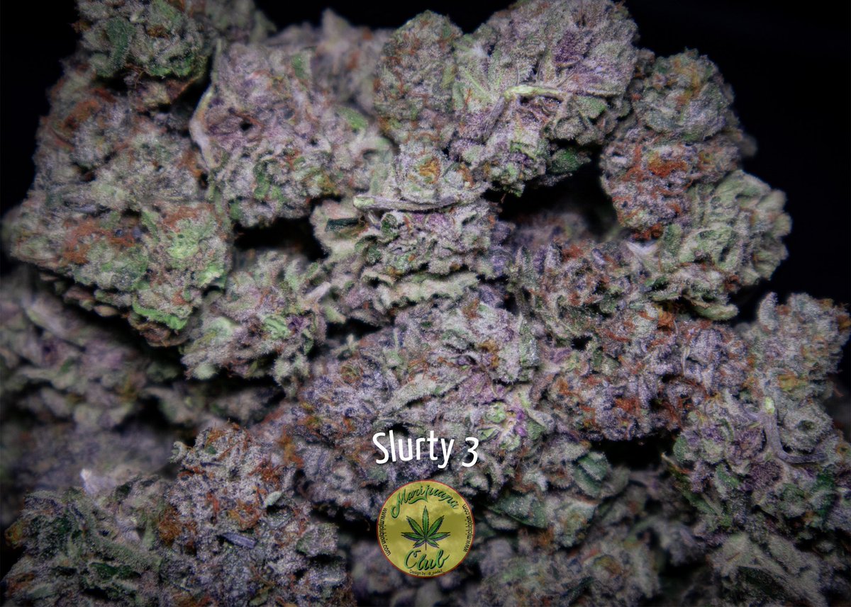 rushgreen15's tweet photo. ‼️New Drop This Week‼️

Follow me on Instagram: @marijuanaclub.916 
Text me: 916-519-9848
Follow me on Twitter: @rushgreen15
Follow my YouTube Page: marijuana club 916
go to my website @ https://t.co/uTHbse5l7c https://t.co/66K3CsYCgh