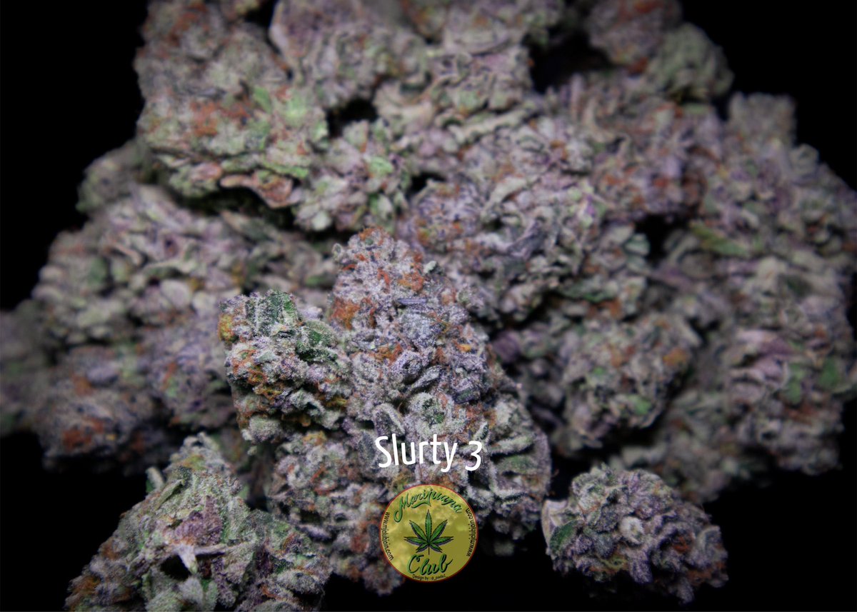 rushgreen15's tweet photo. ‼️New Drop This Week‼️

Follow me on Instagram: @marijuanaclub.916 
Text me: 916-519-9848
Follow me on Twitter: @rushgreen15
Follow my YouTube Page: marijuana club 916
go to my website @ https://t.co/uTHbse5l7c https://t.co/66K3CsYCgh