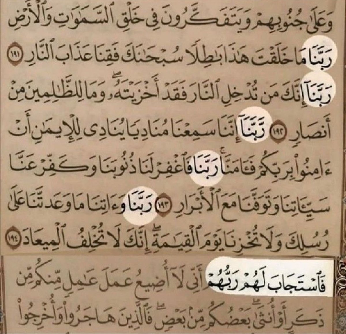 "فَاسْتَجَابَ لَهُمْ رَبُّهُم"ْ ، اللهُم شعور هذة الآية🤎..