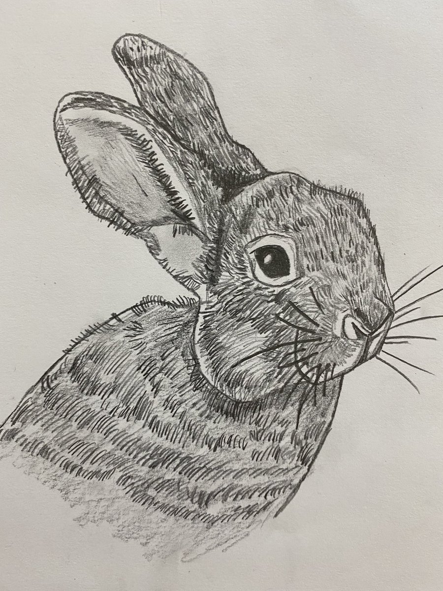 GLECART's tweet image. Love these bunnies done by my middle school scholars -⁦@GLECART⁩ ⁦@chandelart⁩ ⁦@HISDFineArt⁩