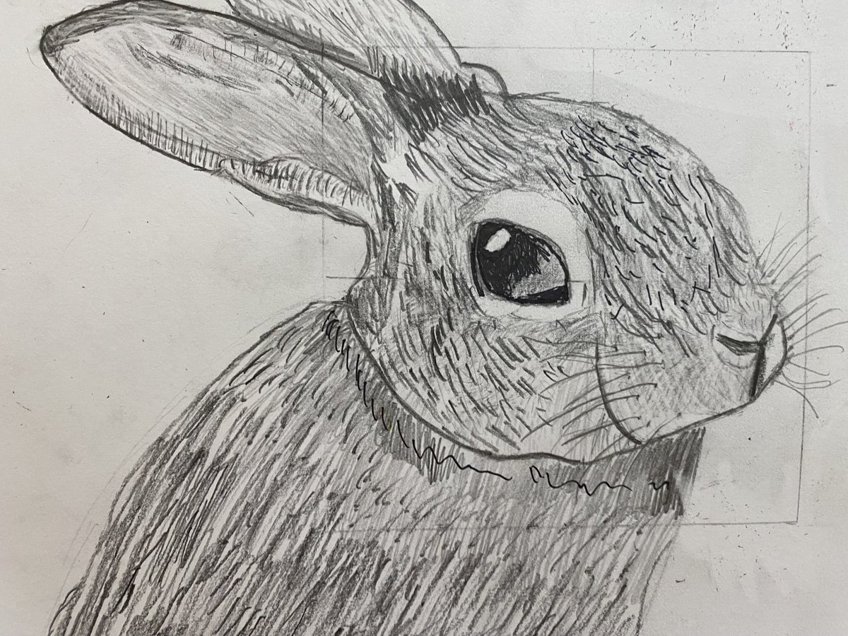 GLECART's tweet image. Love these bunnies done by my middle school scholars -⁦@GLECART⁩ ⁦@chandelart⁩ ⁦@HISDFineArt⁩