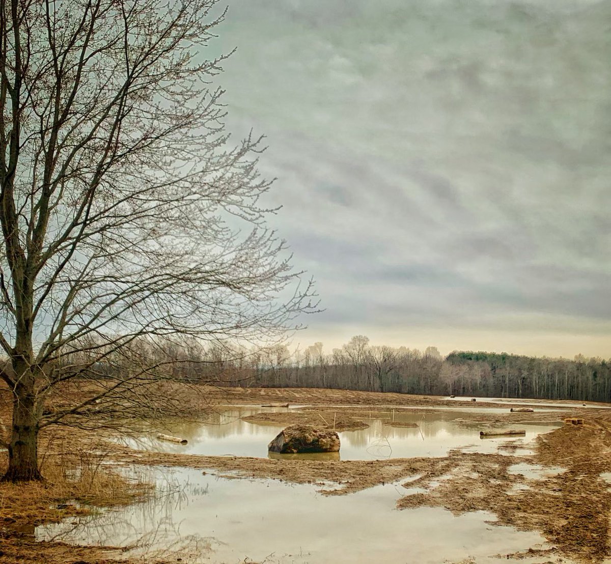 west_creek's tweet photo. It may be a bit bleak out / but #wetland restoration coming along nicely in the #Cuyahoga headwaters
#ProtectRestoreConnect https://t.co/TShCOUcPhT