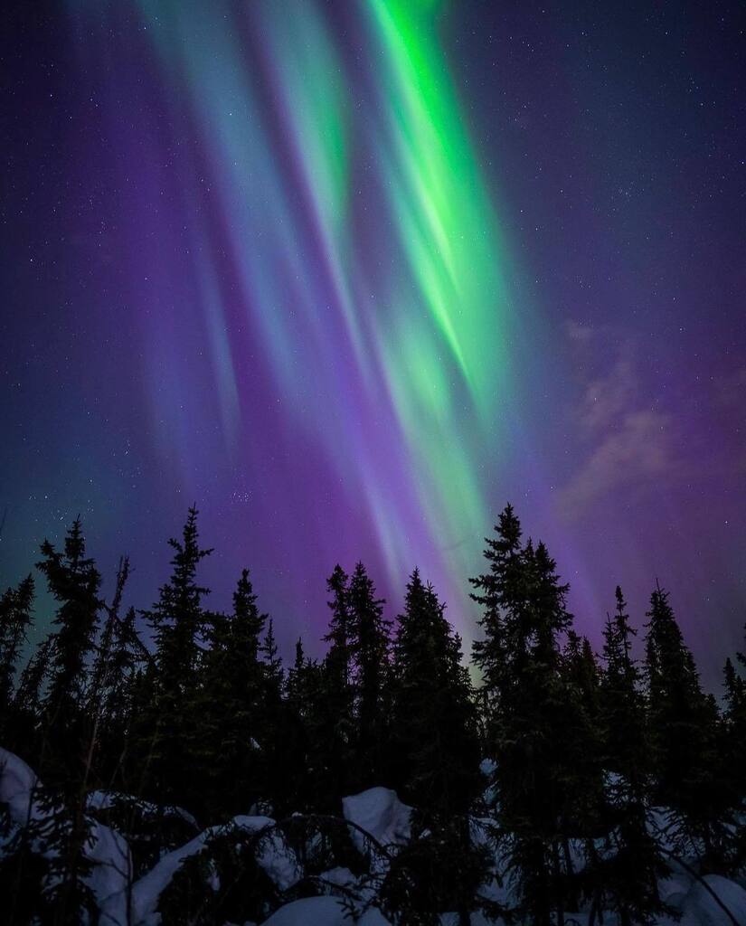 Blue hour never looked so good! . Spring means more daylight and auroras poppin before the sky is even completely dark!🤩 . . 📸 @cnlastro . . #explorefairbanks #alaska #fairbanksalaska #fairbanks #fairbanksak #arcticalaska #north #arcticcircle #trave… instagr.am/p/Cqtj7DTPTPP/