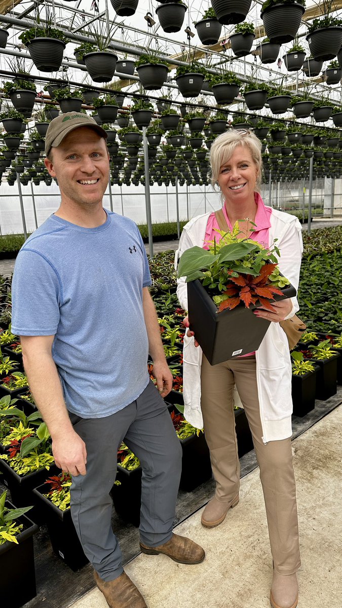 Tanya Carvalho tweet media