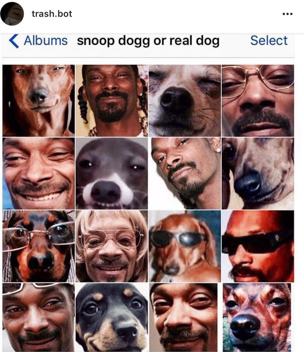 RealOcelotRX's tweet image. #metamorphisis

@SnoopDogg