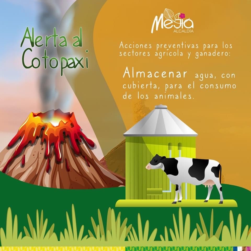 ¿𝐒𝐚𝐛𝐞𝐬 𝐪𝐮é 𝐦𝐞𝐝𝐢𝐝𝐚𝐬 𝐭𝐨𝐦𝐚𝐫 𝐞𝐧 𝐜𝐚𝐬𝐨 𝐝𝐞 𝐜𝐚í𝐝𝐚 𝐝𝐞 𝐜𝐞𝐧𝐢𝐳𝐚?🌋🔰

Aquí te mostramos una recomendación que puedes seguir para cuidar y proteger a tus animales 🐄🐮🐖🧑‍🌾⤵

<a href="/alcaldiademejia/">Alcaldía de Mejía</a>