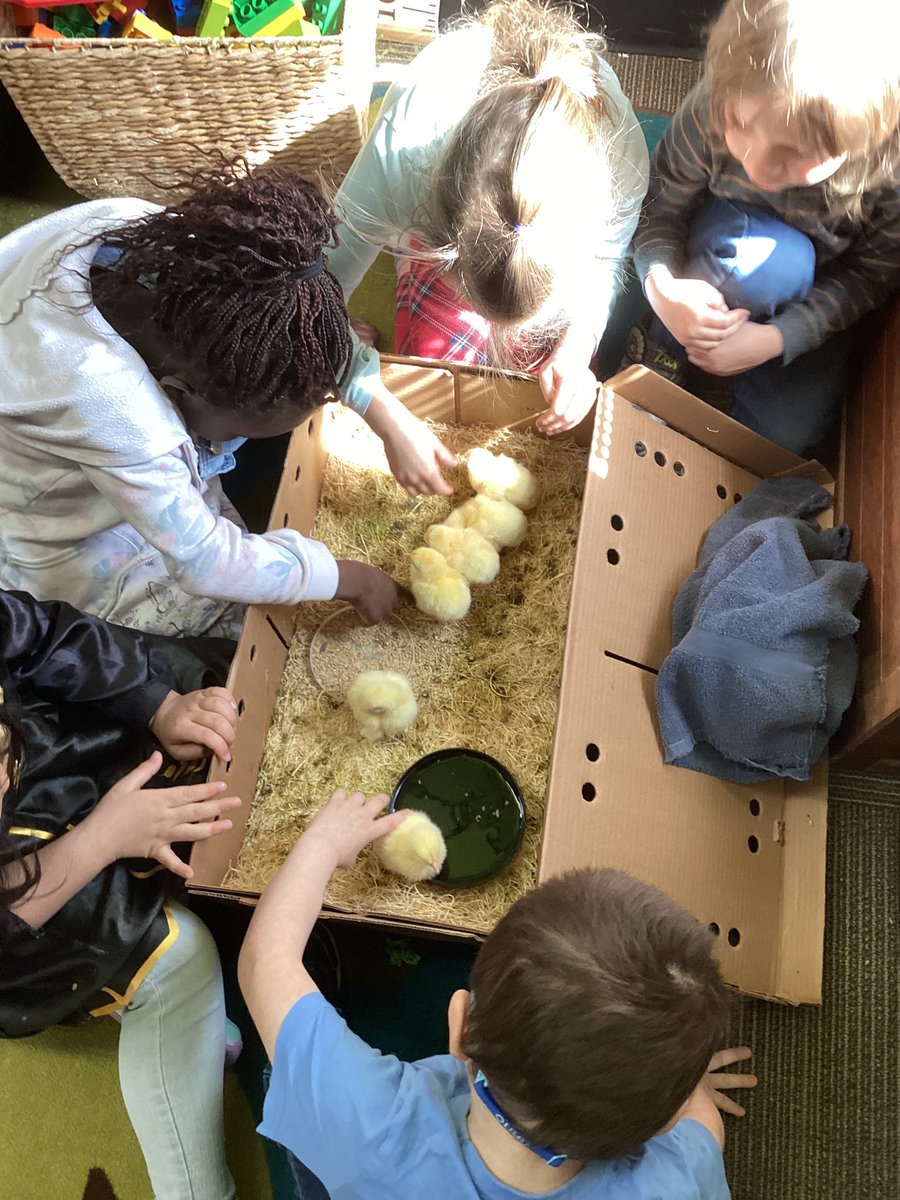 Hannah Delainey tweet media