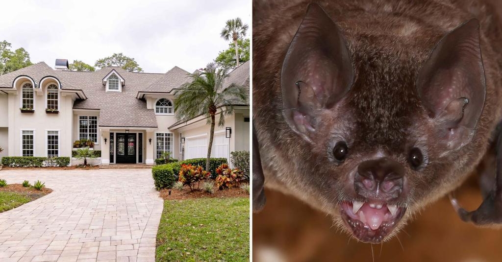 deniselchau's tweet photo. These are the craziest things real estate agents have seen at work https://t.co/k9dth2H1IC https://t.co/bl7a37ZHD7