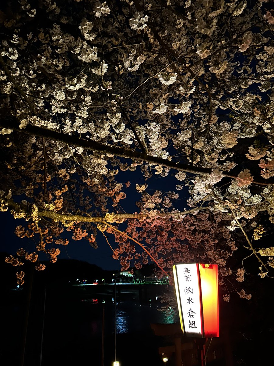 sony bono tweet media