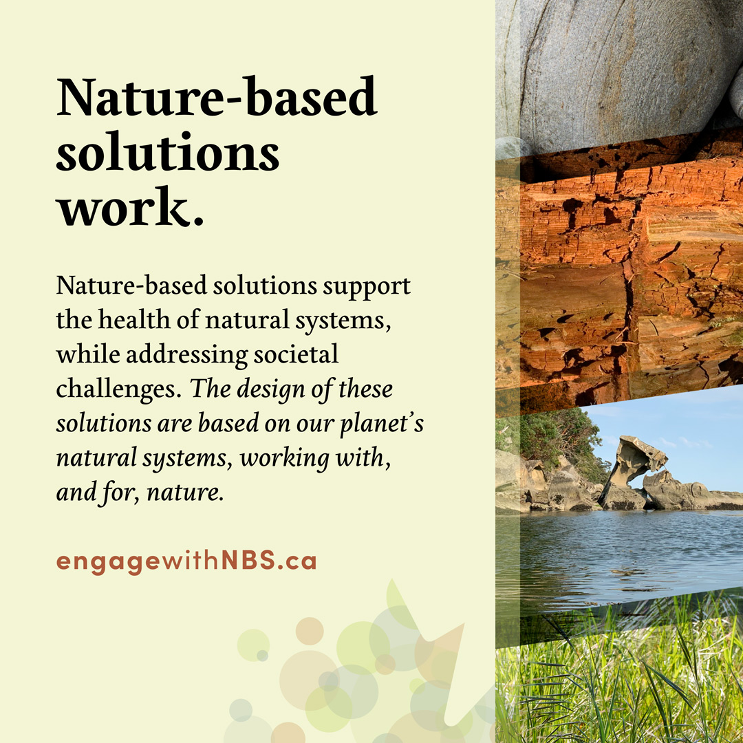 Nature-based solutions work.
Nature-based solutions support the health of natural systems, while addressing society challenges. The design of these solutions are based on our planet's natural systems, working with, and for, nature.
#NatureBasedSolutions #climateaction