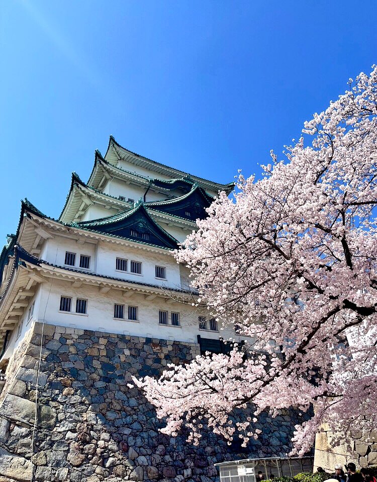 o____oo____10's tweet photo. 今日も素敵な1日になりますように

 #桜 https://t.co/mpiDkRPXmm