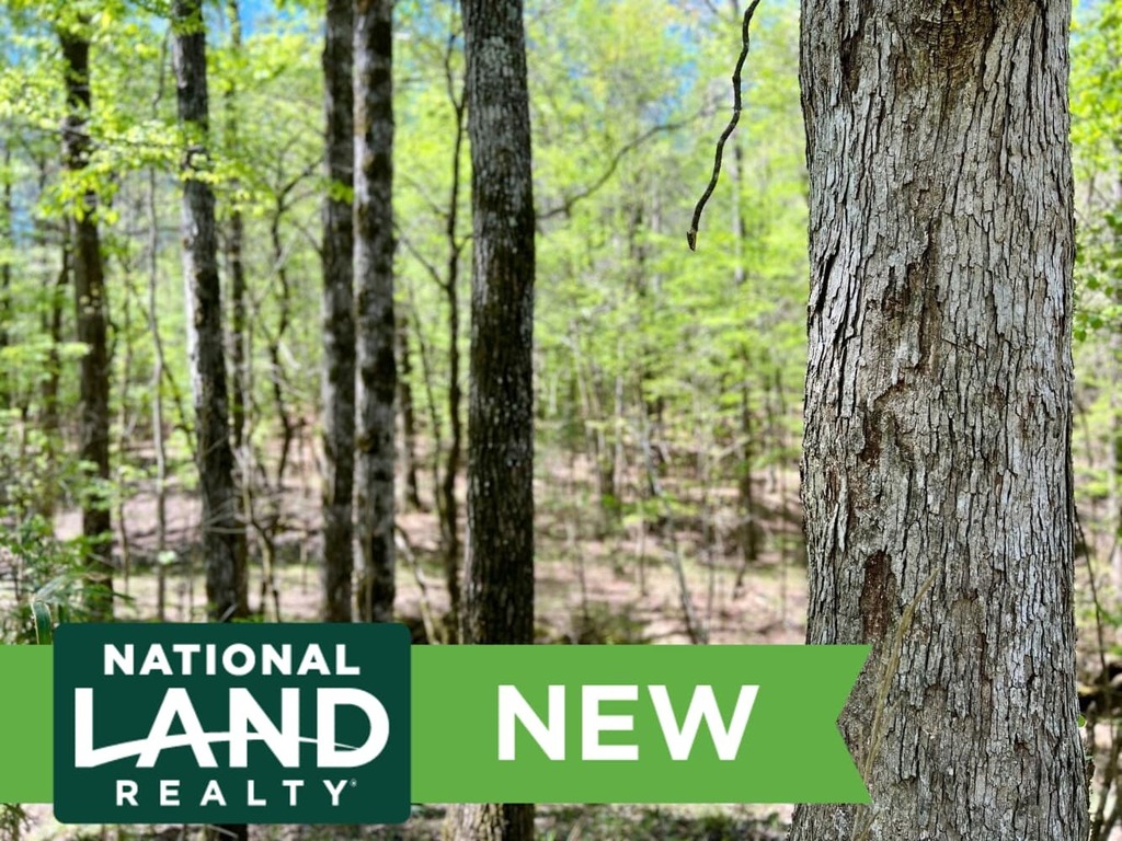 🎉NEW LISTING🎉 335+/- Acres in Dallas County, Alabama in the renowned Black Belt! Enjoy monster Pine &amp; Hardwood timber that’s carrying more $ per acre than most tracts you’ll ever see on the market, great access, utilities, and fantastic Trophy huntin… instagr.am/p/CqtkYC-JI-v/
