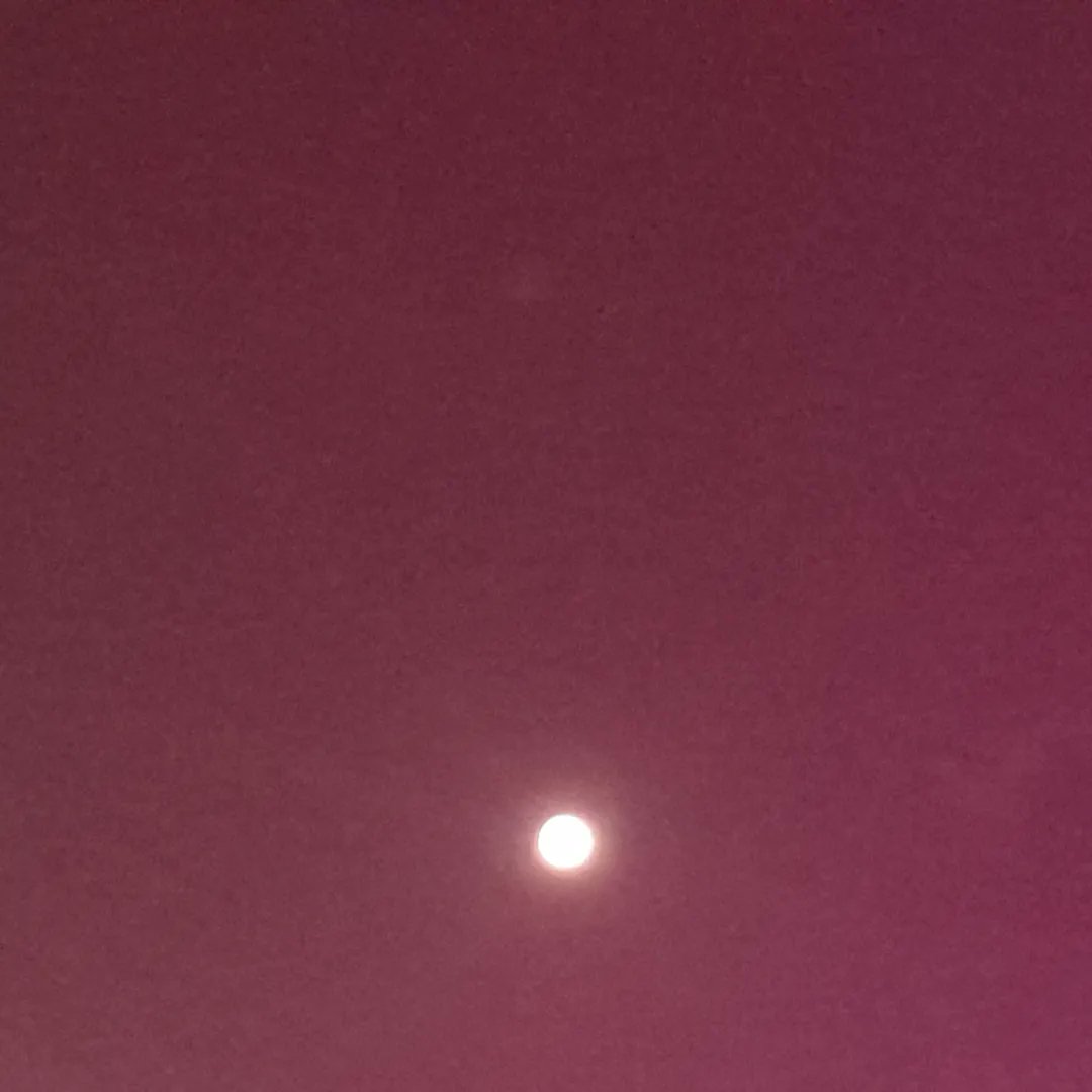 VirginiaLion's tweet photo. @MaxFercondini
#CLARO #EUVOU
#SOLELUA
#TOGETHER
#ILOVEYOU https://t.co/BLf7gFsiNA