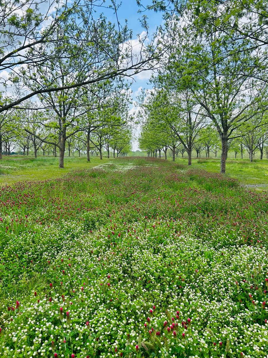 The Orchard Keeper tweet media