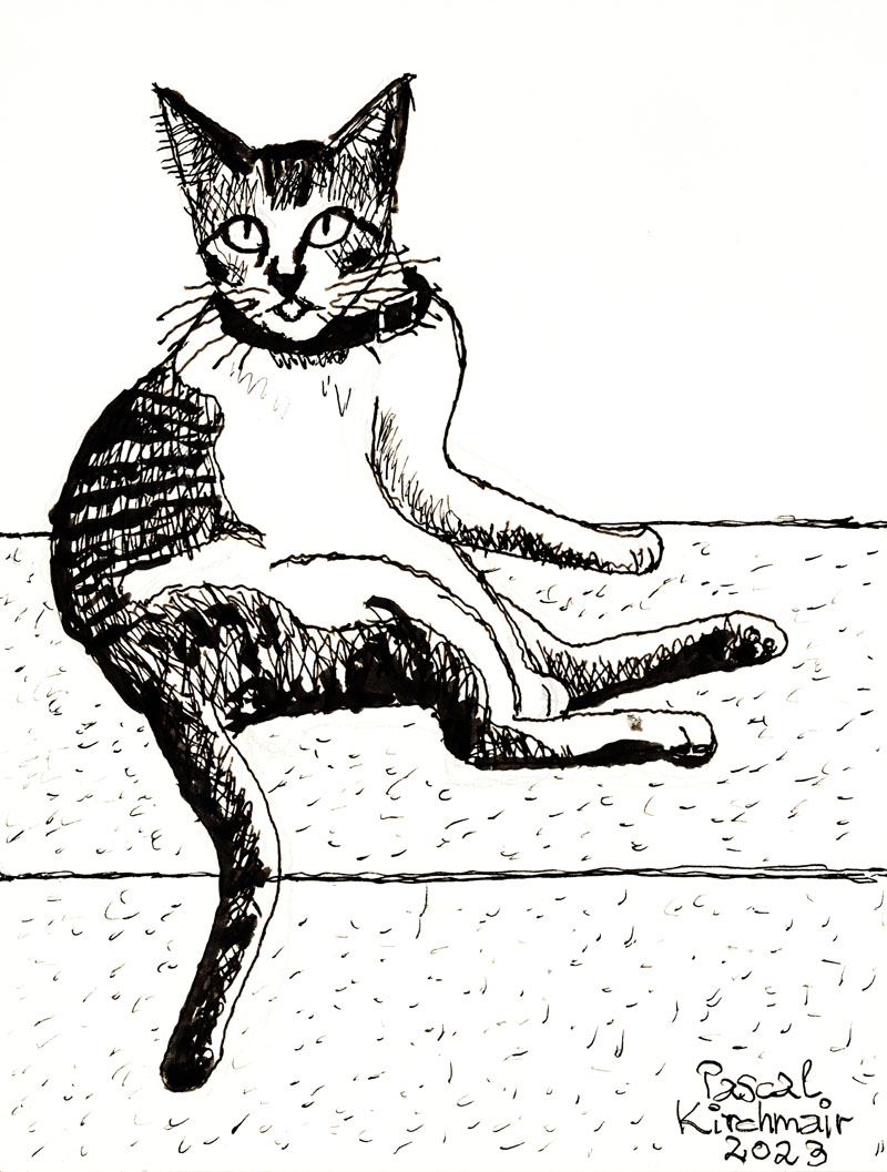 #chat #cat #Katze #gato #gatto #Kunst #ilustracion #illustration #desenho #drawing #dessin #dibujo #portrait #retrato #pascalkirchmair #artwork #arte #ilustracao #Zeichnung #art #illustrazione #disegno #ritratto #Porträt #tintachina #encredechine #nanquim #inchiostro #inkdrawing