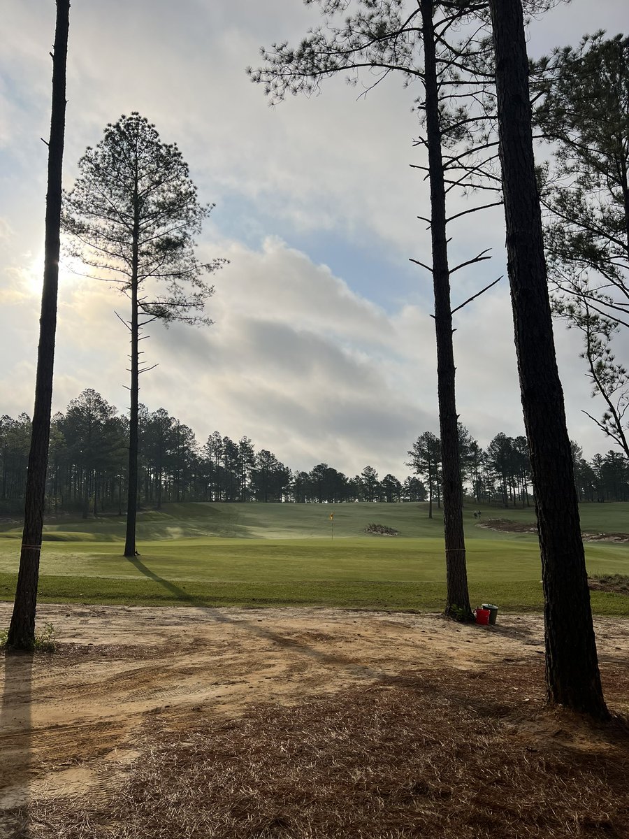 Casey Bannon tweet media